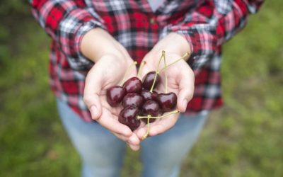 Descubre el Agroturismo en el Norte de Extremadura: Una Experiencia Única
